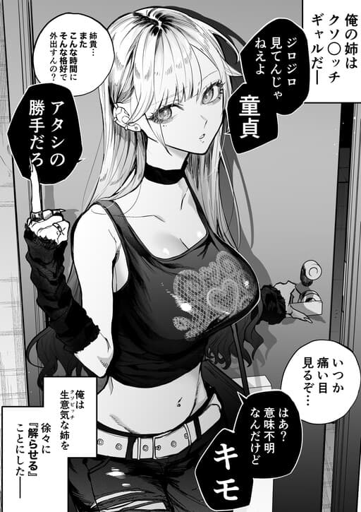 The Day I Decided to Make My Cheeky Gyaru Sister Understand in My Own Way
